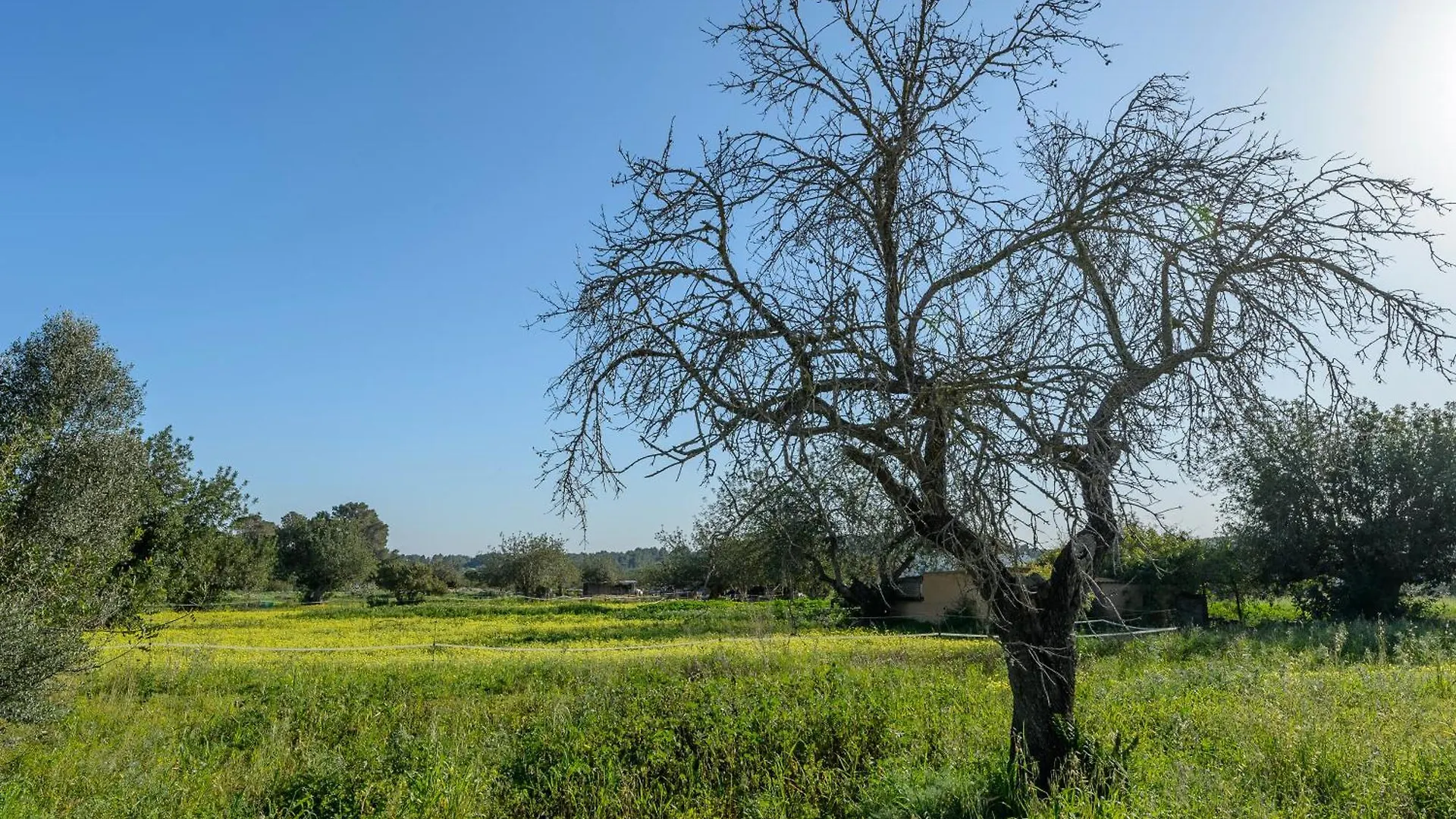 New! Villa Ca Ses Antonietes Sant Carles de Peralta Spain